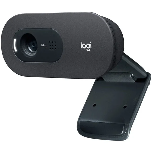 Logitech C505e, Webcam (schwarz, Bulk)