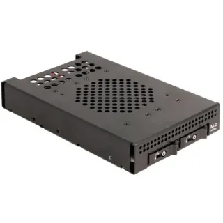 DeLOCK 3.5″ Wechselrahmen für 2 x M.2 NVMe SSD