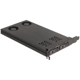 DeLOCK Delock PCI Express x16 Karte Wechselrahmen für 2 x M.2 NVMe SSD - Bifurcation