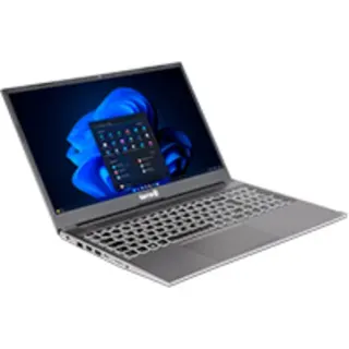 TERRA MOBILE 1500P R5-7430U W11P, Notebook (dunkelsilber, AMD Ryzen 5 7430U, AMD Radeon Graphics, 16 GB DDR4, 500 GB (500 GB SSD), Windows 11 Pro)