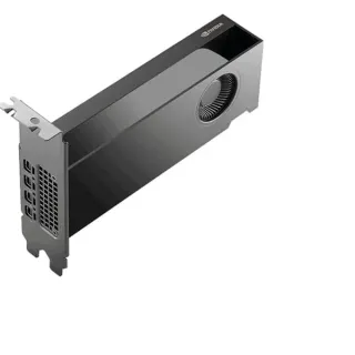 PNY NVIDIA RTX PRO 2000 Blackwell Generation 16GB PB, Grafikkarte (Bulk)