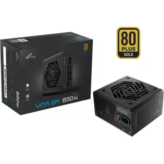 FSP VITA GM 650W, PC-Netzteil (schwarz, 4x PCIe, Kabelmanagement, 650 Watt)