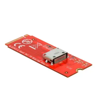 DeLOCK M.2 Key M zu 1 x OCuLink SFF-8612 Konverter, Schnittstellenkarte