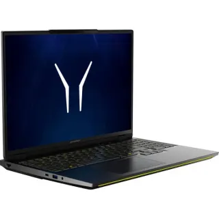 Medion ERAZER Beast 16 X1 Ultimate (MD600063), Gaming-Notebook (schwarz, Intel® Core™ Ultra 9 290HX Plus, NVIDIA GeForce RTX 5080, 32 GB DDR5, 2 TB (2 TB SSD), Windows 11 Home)