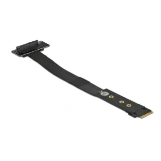 DeLOCK M.2 Key M zu U.2 SFF-8639 NVMe Adapter gewinkelt mit 20 cm Kabel, Schnittstellenkarte
