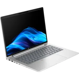 HP ProBook 4 G1a (AD2N2ET), Notebook (silber, AMD Ryzen 7 250, AMD Radeon 780M, 32 GB DDR5, 1 TB (1 TB SSD), Windows 11 Pro)