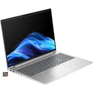 HP EliteBook 6 G1a (AD3K0ET), Notebook (silber, AMD Ryzen 5 230, AMD Radeon 760M, 16 GB DDR5, 512 GB (512 GB SSD), Windows 11 Pro)