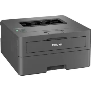 Brother HL-L2400DWE, Laserdrucker (dunkelgrau, USB, WLAN, EcoPro, Duplex (Druck))