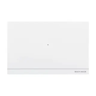 Busch-Jaeger Smart Access Point Professional Typ D04011-03 mit Power-over-Ethernet und Ethernet-Schnittstelle (weiß, Retail)