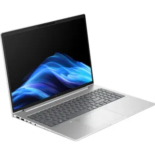 HP EliteBook 6 G1a (AD3K2ET), Notebook (silber, AMD Ryzen 7 250, AMD Radeon 780M, 32 GB DDR5, 1 TB (1 TB SSD), Windows 11 Pro)